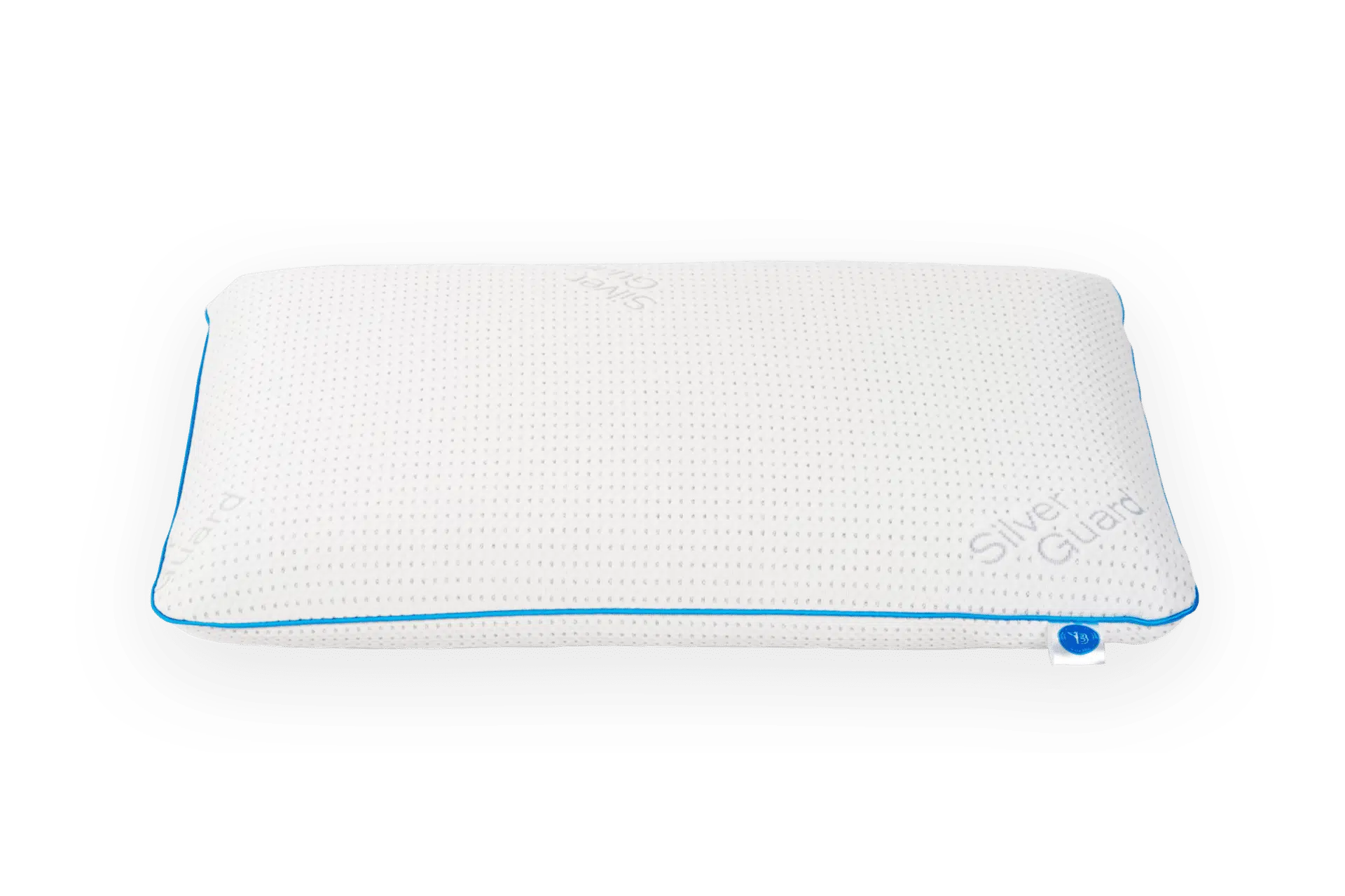 B-PILLOW ROYAL SILVER GUARD+