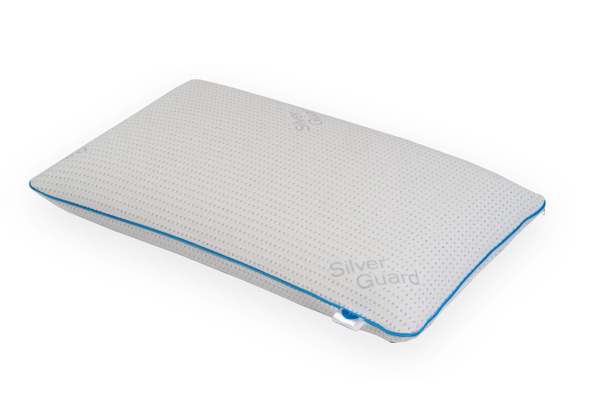 B-PILLOW ROYAL SILVER GUARD+