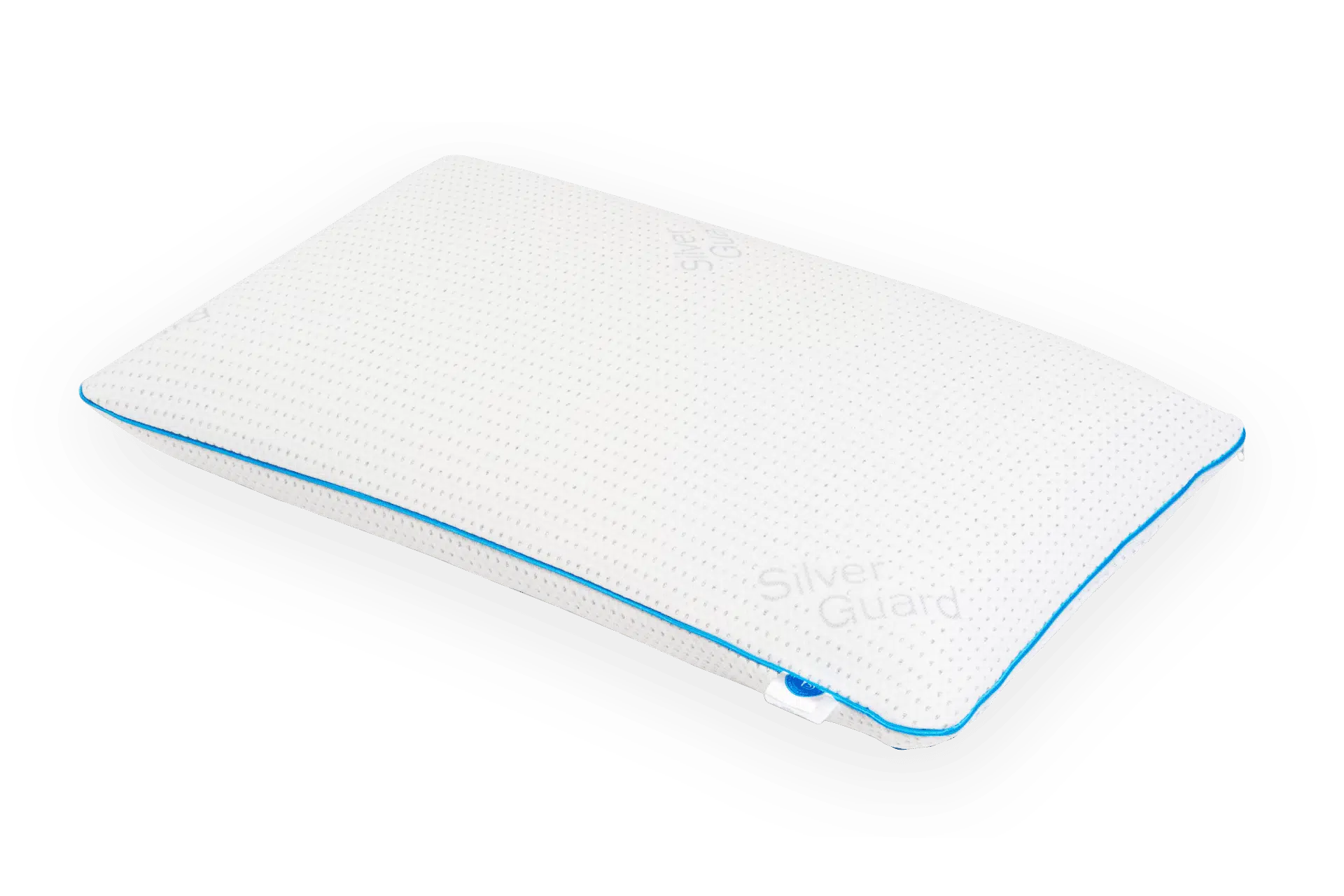 B-PILLOW ROYAL SILVER GUARD+