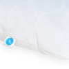 B-PILLOW PREMIUM+