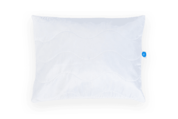 B-PILLOW PREMIUM+